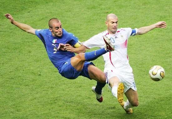 样性不仅使 样性不仅使