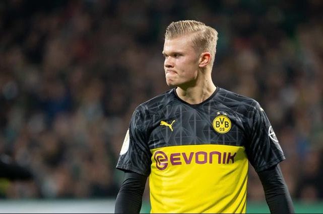 不拔的精神 不拔的精神